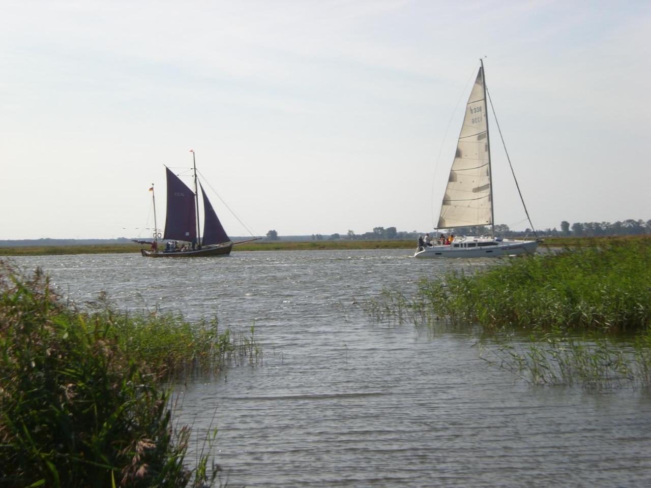 Achtern - Diek - Am Strand Zingst Exterior foto